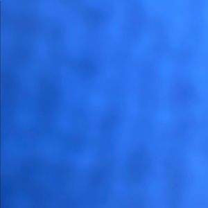 Meet your Posher, Jackson